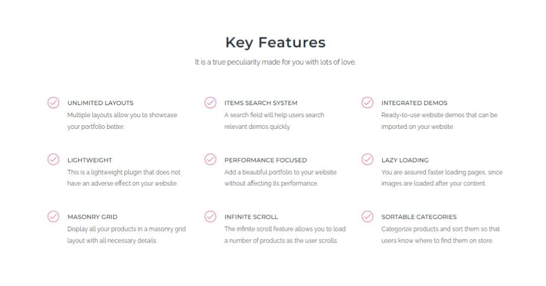 Some Other WP Portfolio's Key Features