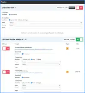 Perfmatters WordPress Performance One Year License Activation 