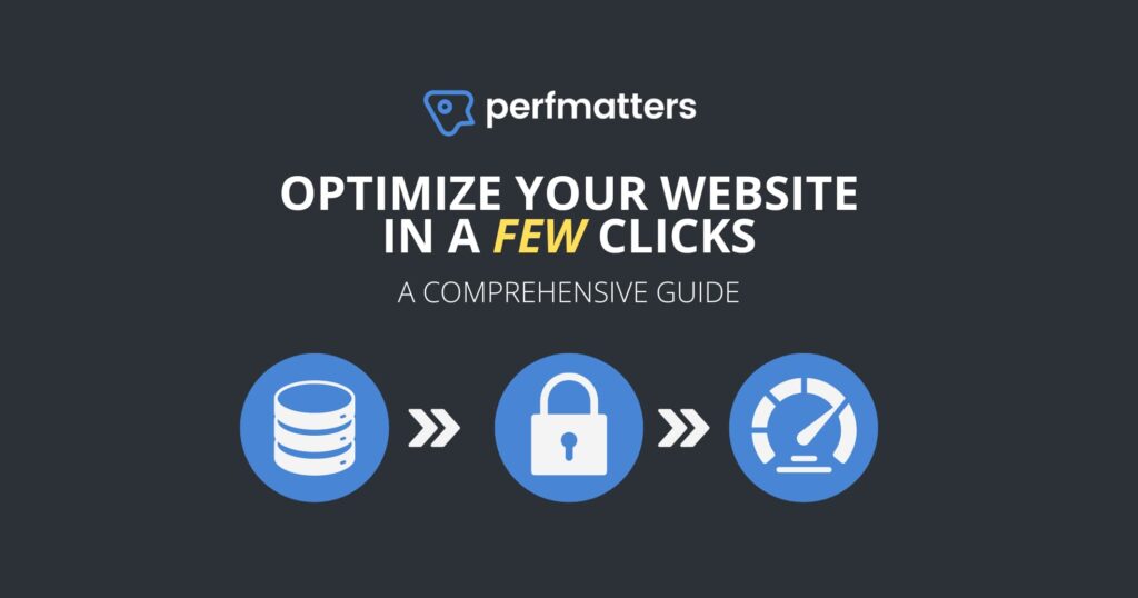Website-Performance-Optimization-with-Perfmatters-A-Comprehensive-Guide